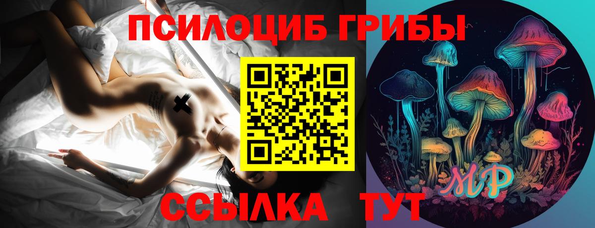как найти закладки  Вход с VPN  Псилоцибиновые грибы Psilocybine cubensis  Батайск  Галлюциногенные грибы Psilocybine cubensis 